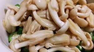 You can make mascarpone cream, instead. Lady Finger And Mushrooms In Oyster Sauce Recipe Recipes Sauce Recipes Stuffed Mushrooms