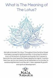 Lotus Flower Meaning Spiritual Yoga Symbols Yoga Symbols Spiritual Symbols