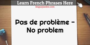 Each unit consists of a variety of activities which teach the students how to understand more difficult written and spoken passages, to. How To Say Thank You In French You Re Welcome 20 Phrases