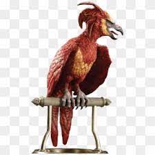 Download Phoenix Bird Harry Potter Phonix Harry Potter Fawkes Clipart 494925 Pikpng
