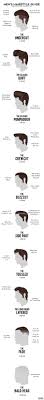 What hair styles do men of today adopt? Men S Hairstyle Guide Infographic