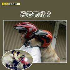 The site owner hides the web page description. é—œä½ è›‹äº‹ å¤©è‹¥æœ‰æƒ… ç‹—ç‹—å¥½å…¥æˆ² é›»å–®è»Š ç‹—ç‹— Facebook