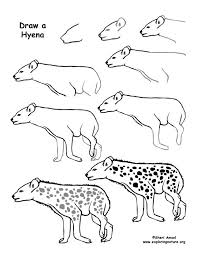 Draw An African Grassland Draw Zoo Animals Animal Drawings