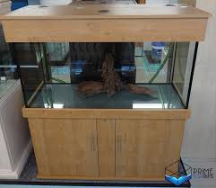 Maybe you would like to learn more about one of these? 48x24x24 122x61x61cm Tropical Aquarium Prime Aquariums