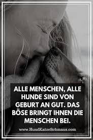 Im zusammenhang mit der kategorie zitate. 35 Coole Hunde Spruche Hunde Zitate Ideen Hund Zitat Hundespruche Hunde