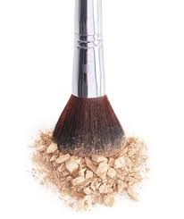 Vsledek obrzku pro powder brush