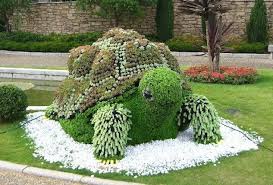 9fb6868bdc2a11d26cd49da27ef062c9 Jpg 633 428 Pixels Topiary Succulents Garden