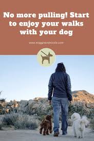 A quick guide on why dogs have a tendency to pull and how to remedy the behavior. How To Get My Dog To Stop Pulling On Walks Nicole Ellis
