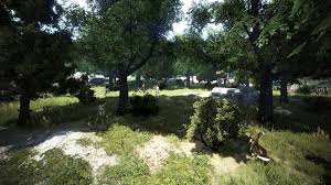 Theres so much more to be found by giving in and embracing the goblins. Forest Of Plunder Black Desert Wiki Fandom
