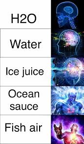Fish Air With Images Stupid Memes Haha Funny Funny Memes