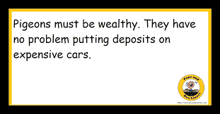 Check spelling or type a new query. Money Jokes Puns And One Liners