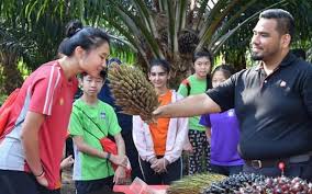 Palm oil is used as an ingredient in many processed foods, along with. Minister Praises School Once Slammed For Anti Palm Oil Presentation Free Malaysia Today Fmt