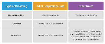 Image result for Respiratory Rate