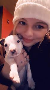 Anyone else's frenchie try to suffocate and overheat themselves to death  under blankets? He constantly wants to have his face under them but pants  sooo hard and gets so hot. It freaks