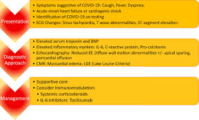 One must always rule out the most serious differential diagnosis, which is st elevation. Covid 19 And Myocarditis What Do We Know So Far Sciencedirect