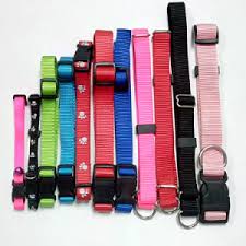 Shock collars are a type of aversive training initially used in the 1960s to train hunting dogs. China Custom Nylon Polyester Printed Pet Supply Retractable Pet Harness And Lead Products Personalized Cat Shock Leash And Dog Training Collar China Dog Collar And Dog Leash Price