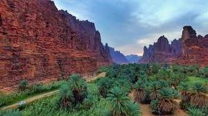 Check spelling or type a new query. Saudi Arabia To Start First Phase Of Neom Project