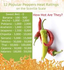 Sow Grow Peppers Like A Pro