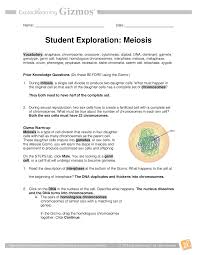 Answer key for meiosis worksheet: Mitosis Produces Daughter Cells With How Many Chromosomes