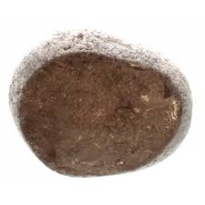 Maybe you would like to learn more about one of these? Smoky Quartz Dragon Egg 5