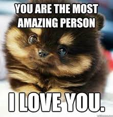 16 Super Sweet Memes On Animals Celebrating Valentine S Day Cute Love Memes Sweet Memes Love You Meme