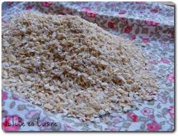 Le flocon d'avoine est une denrée alimentaire céréalière créée par la transformation d'une graine d'avoine par un procédé de traitement des gruaux à basse temperature. Zoom Sur Le Son D Avoine Jujube En Cuisine