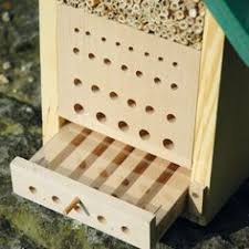 Bienenhaus Maja Mit Beobachtungsschublade Bienenhotel Bienen Hotel Bienenhotel Bienenhaus