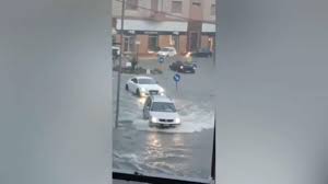 Trend Google: meteo bari