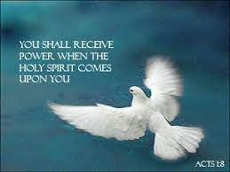  Dove Spirit Kind Soul
