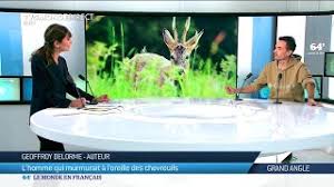 L'homme qui murmurait à l'oreille des chevaux. L Homme Qui Murmurait A L Oreille Des Chevreuils Youtube