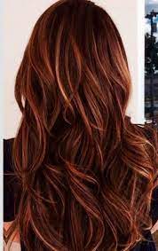 Dark Hair With Caramel And Red Highlights Yahoo Search Results Auburn Hair With Highlights Cinnamon Hair Long Hair Styles