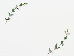 Download Premium Psd Of Green Leaf Frame On White Background 1201846 White Background Photography White Background Wallpaper White Background Instagram