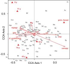Image result for Dasylepis eggelingii