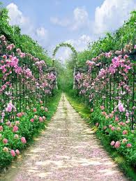 Wedding Photography Backdrops Garden Arch Road By Katehome2014 Backdrops Backgrounds Photography Studio Background Background For Photography