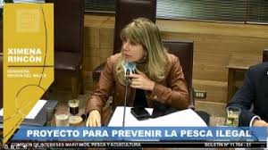 Fulvio fabrizio rossi ciocca (iquique, 30 de septiembre de 1970) es un médico y político chileno, exmilitante del partido socialista (ps). Sardina Austral Albacora Raya Volantin Raya Espinosa Y Reineta Podrian Quedar Reservadas En Un 97 Para La Pesca Artesanal