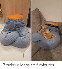 Memes De Ideas En 5 Minutos Google Search Camas Para Perros Colchones Para Perros Casita Para Gatos