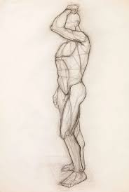 The anatomical center of the body is a horizontal line that passes through the middle of the great trochanters and the top of the pubis or more the wrists will roughly line up with the great trochanters. Human Body Anatomy Study Drawing By Dan Comaniciu