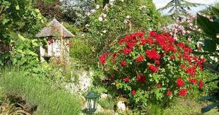 Au Milieu Du Plus Grand Verger De Noisetiers Francais Et Au Cœur De La Vallee Du Dropt Dans Le Lot Et Garonne Sur Les R Jardins Lieu Touristique Lot Et Garonne