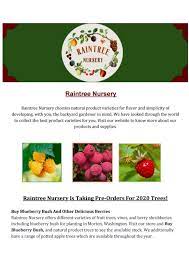 Heirloom fruit tree nursery grounded in organically grown apple trees. Buy Olive Trees Online Buy Fruit Trees Online Raintree Nursery By Raintree Nursery Issuu