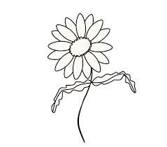 We did not find results for: How To Draw A Daisy Easy Drawing Guides