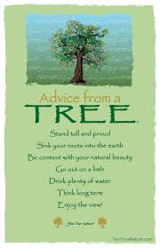 Advice From A Tree Postcard Your True Nature Tree Quotes Nature Quotes Advice Quotes