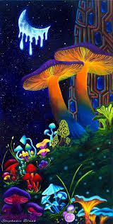 Only the best hd background pictures. Mushroom Hintergrundbild Nawpic