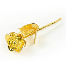We did not find results for: Gold Infinity Rose The Perth Mint