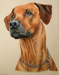 Realistic dog drawings viewing gallery dog drawings beagle dog. 15 Realistic Dog Drawings And Artworks From Famous Artists