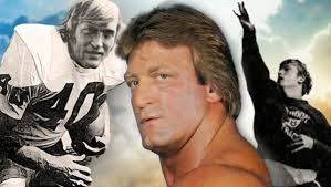 Paul Orndorff