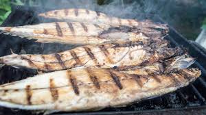 The term spanish mackerel is a broad term. Are Spanish Mackerel Good To Eat Finn S Fishing Tips