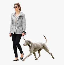 Girl Walking Dog Png Render People People Png Sketches Of People