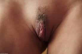 Why I Love Hairy Pussy: Tales from CAM4 Viewers