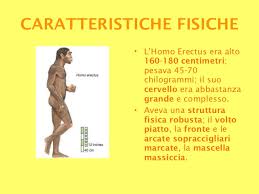 L'uomo di neanderthal (homo neanderthalensis) è un ominide molto simile all'homo sapiens che visse durante le glaciazioni, in un periodo compreso tra i 200.000 e i 30.000 anni fa. L Evoluzione Dell Uomo Dall Australopiteco All Homo Sapiens Sapiens Lessons Blendspace