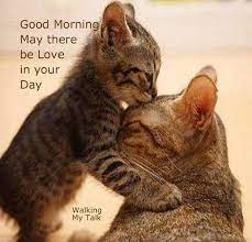 Funny Good Funny Good Morning Images Quotes